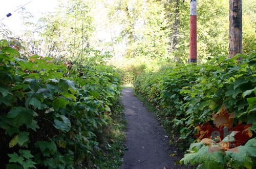 Nature Trail