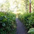 Nature Trail