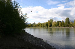 ferry_island_nature_trail 004.jpg