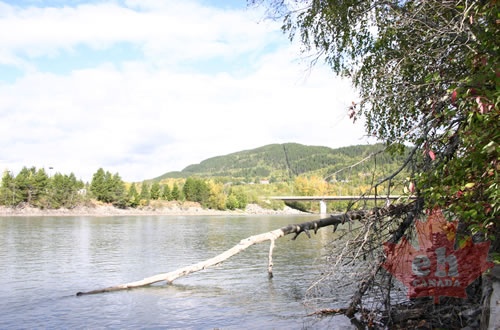Skeena River
