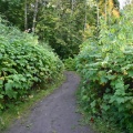 Nature Trail
