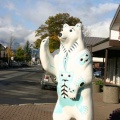 Spirit Bear