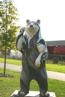 Spirit Bear