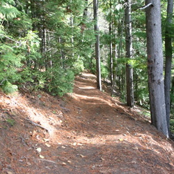 Howe Creek Trail