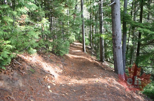 Howe Creek Trail
