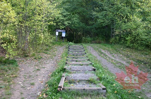 Terrace Mountain Trail