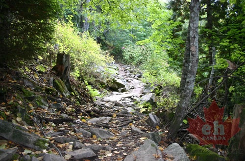 Hiking Trail