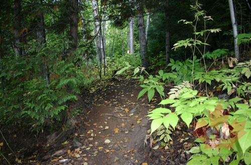 Hiking Trail