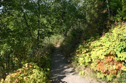 Hiking Trail