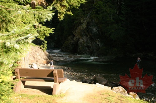 Viewing Benches