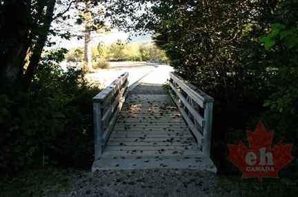 Walking Bridge