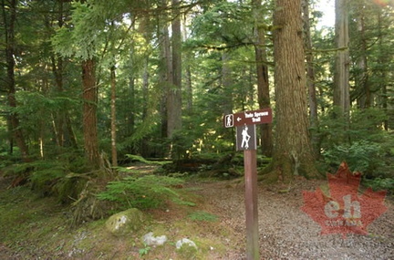 Hiking Trail