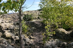 Hiking Trail