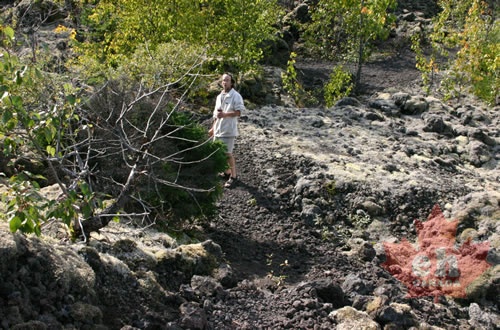 Trail