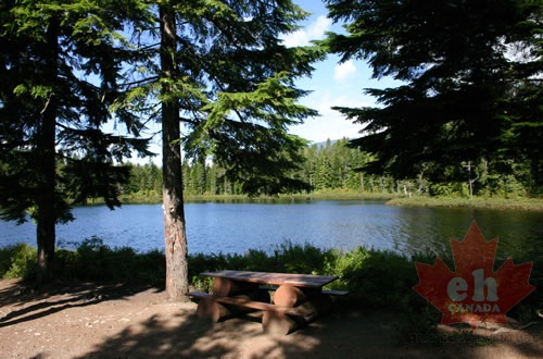 pine_lake 001.jpg