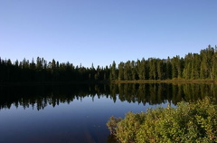 Pine Lake