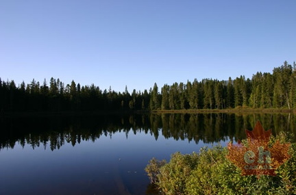 Pine Lake