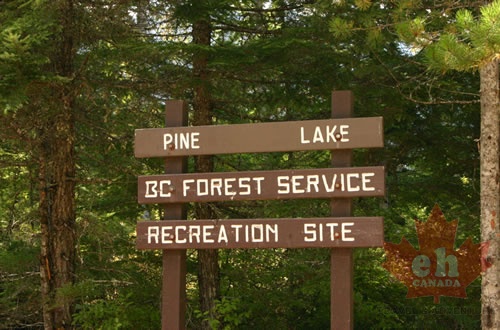 Campground Sign