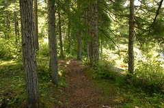 Hiking Trail