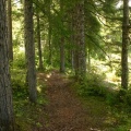 Hiking Trail