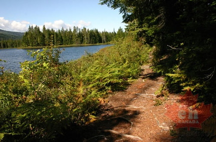 Lakeside Trail