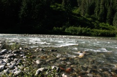 skeena 007.jpg