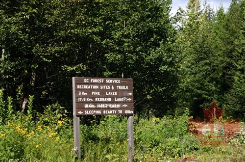 directional_signs.jpg
