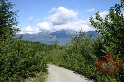 Gravel Road