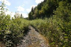 trail 001.jpg