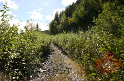 Hiking Trail