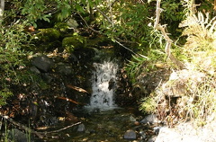 trail 002.jpg