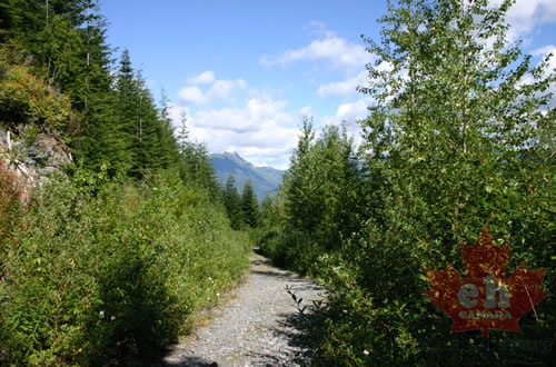 trail 003.jpg