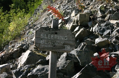 trailhead.jpg