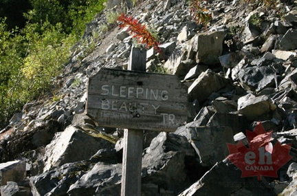 Trailhead