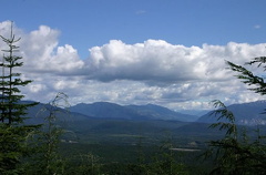 view.jpg