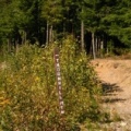 Offroading Directional Signs