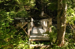 trail 001.jpg
