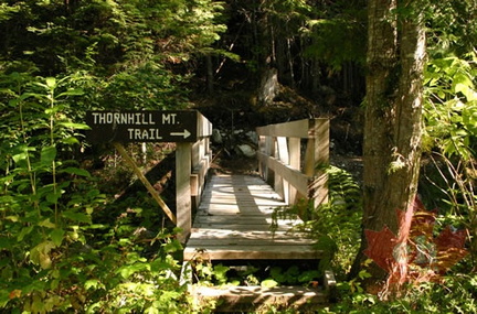 Bridge