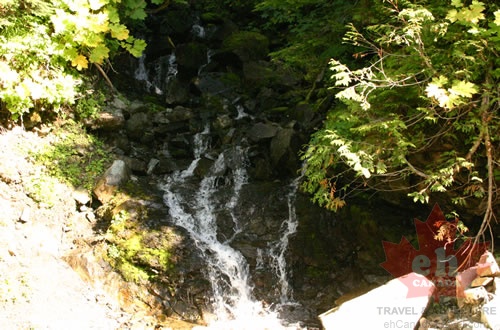 trail 003.jpg