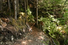 trail 002.jpg