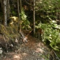 Hiking Trail