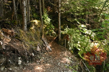 Hiking Trail