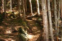 trail 005.jpg