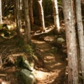 Hiking Trail