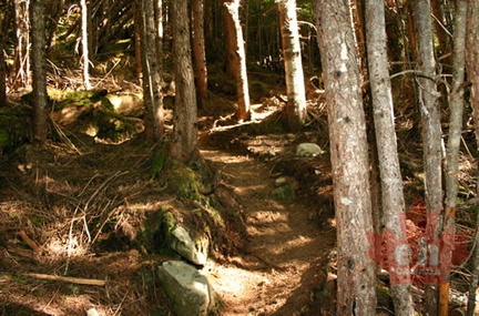 Hiking Trail