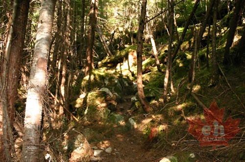 Hiking Trail