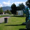 Spirit Bear
