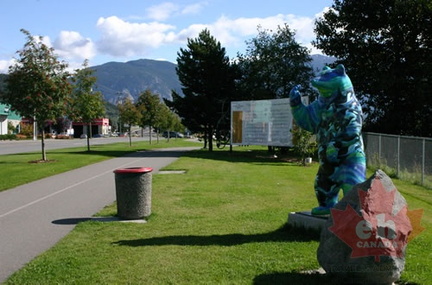 Spirit Bear