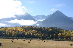 Hay Fields