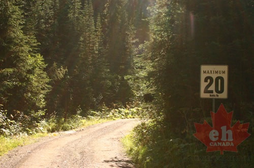 Gravel Roads